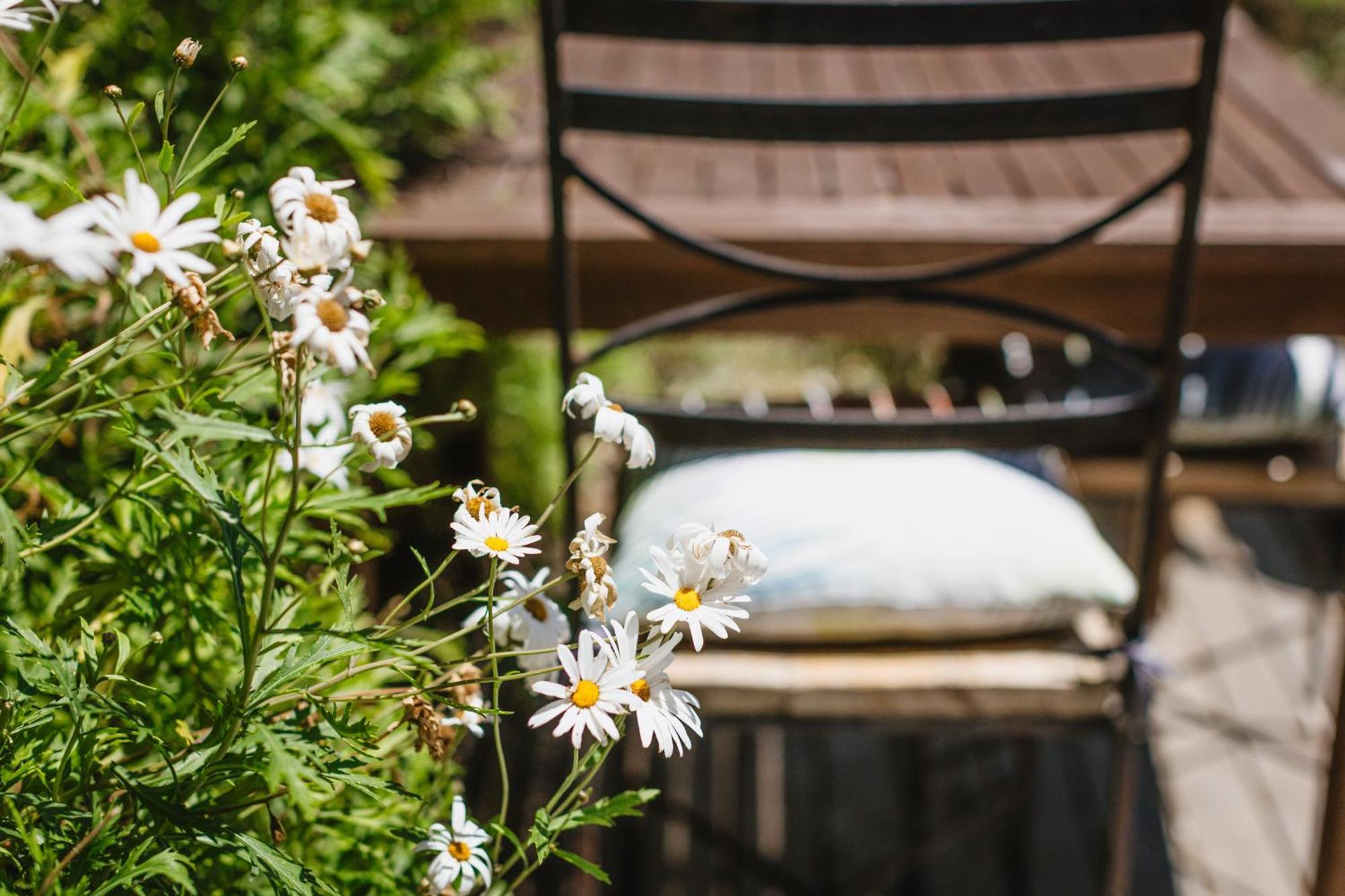 Haumoana Herb Cottage Kültér fotó